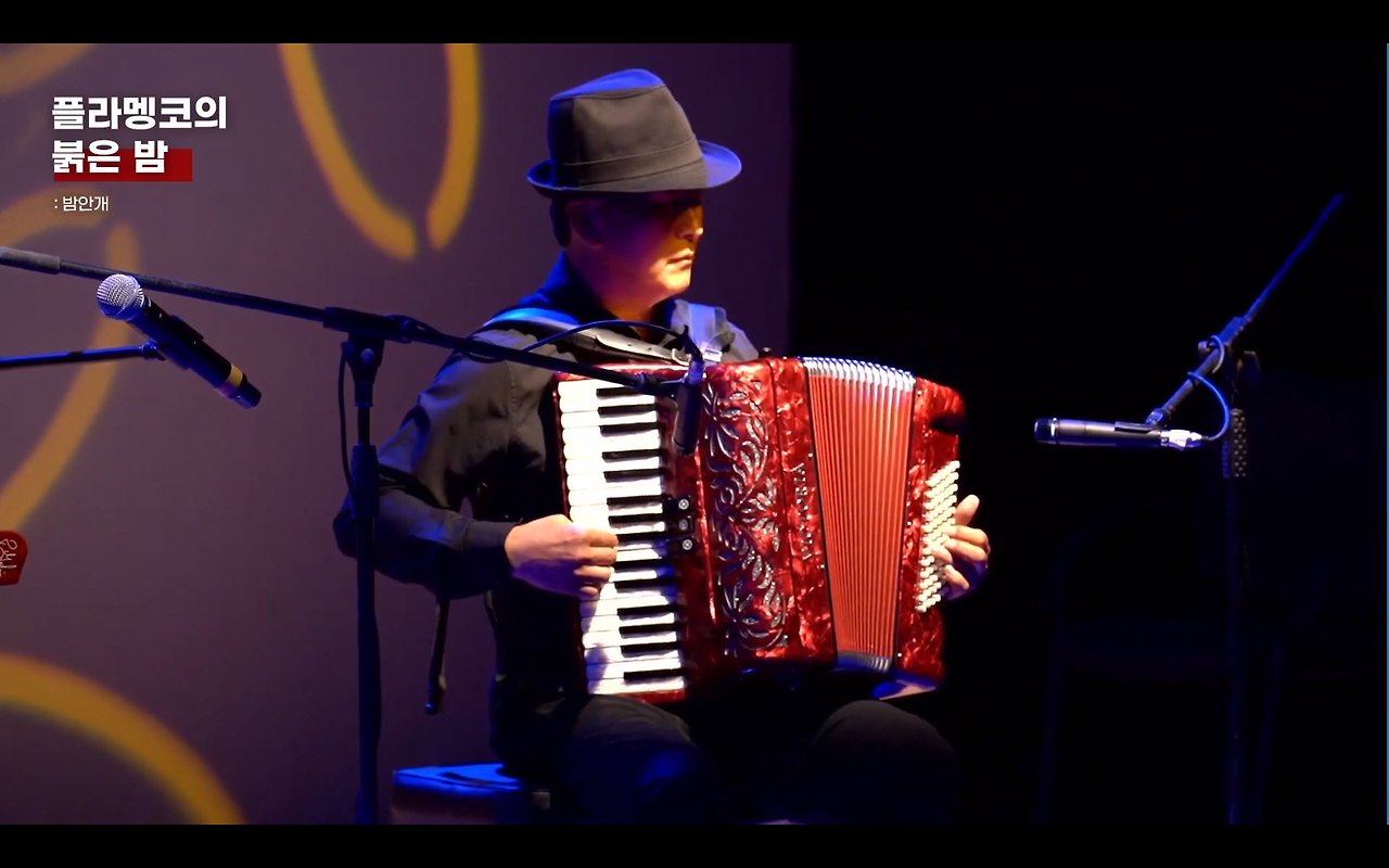 플라멩코의 붉은밤4.jpg