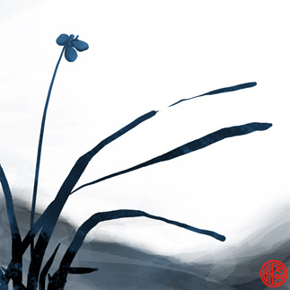 20160727-난초 사본.jpg