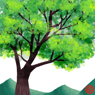 20170129-나무 사본.jpg