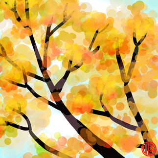 20170206-나무 사본.jpg