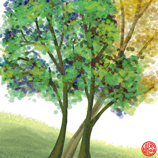 20170404-나무 사본.jpg