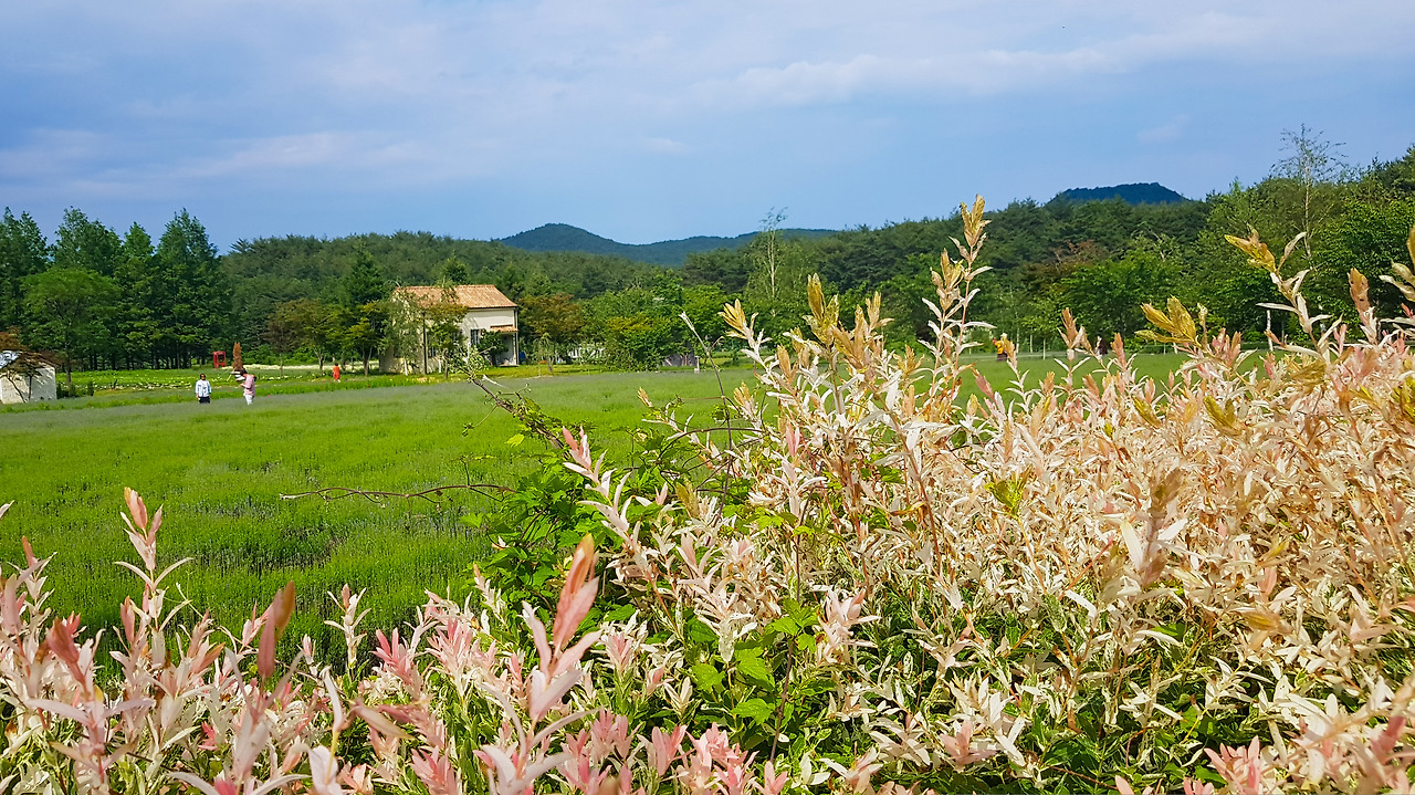 20200528_153107 (1).jpg