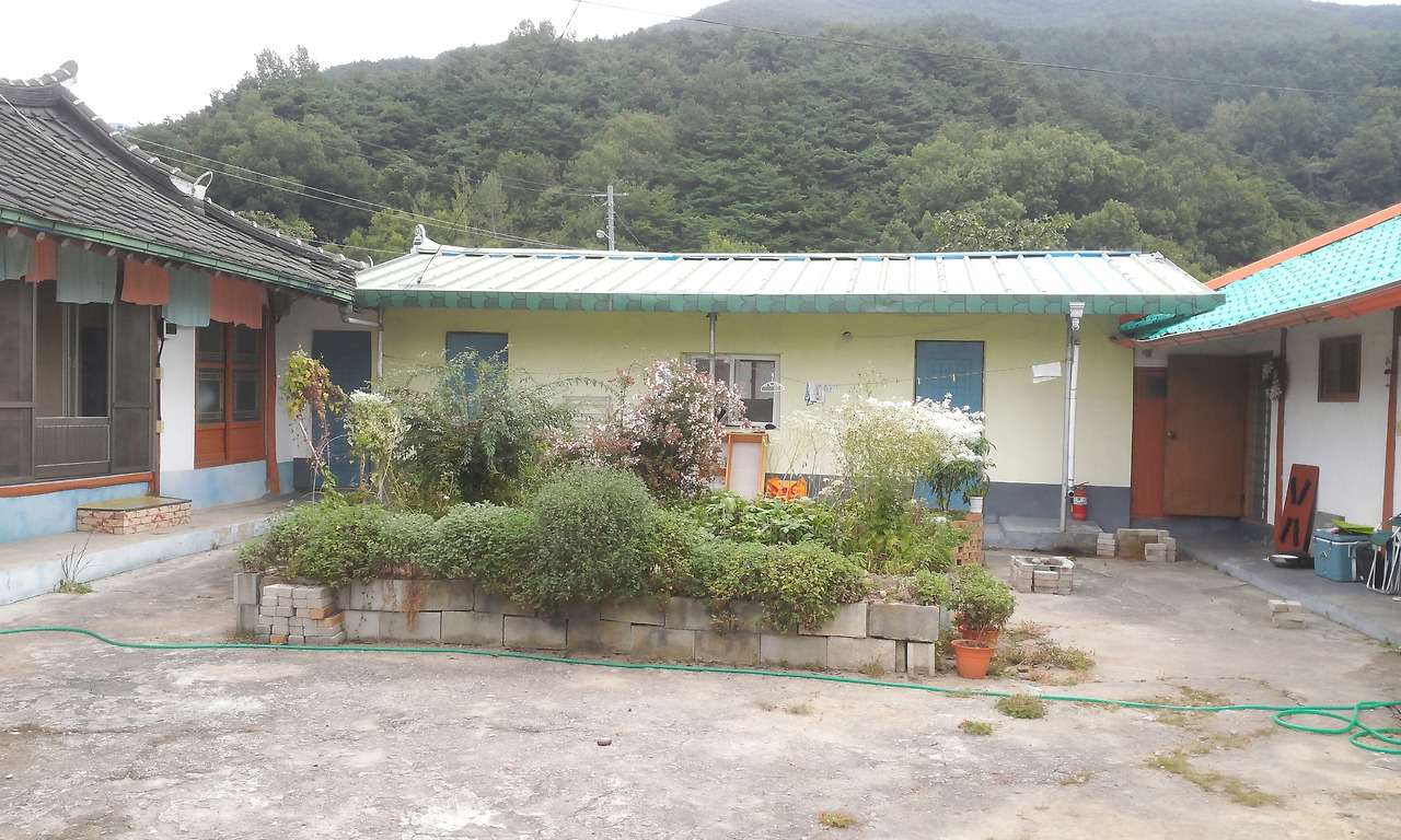 핸폰 사진 971.jpg