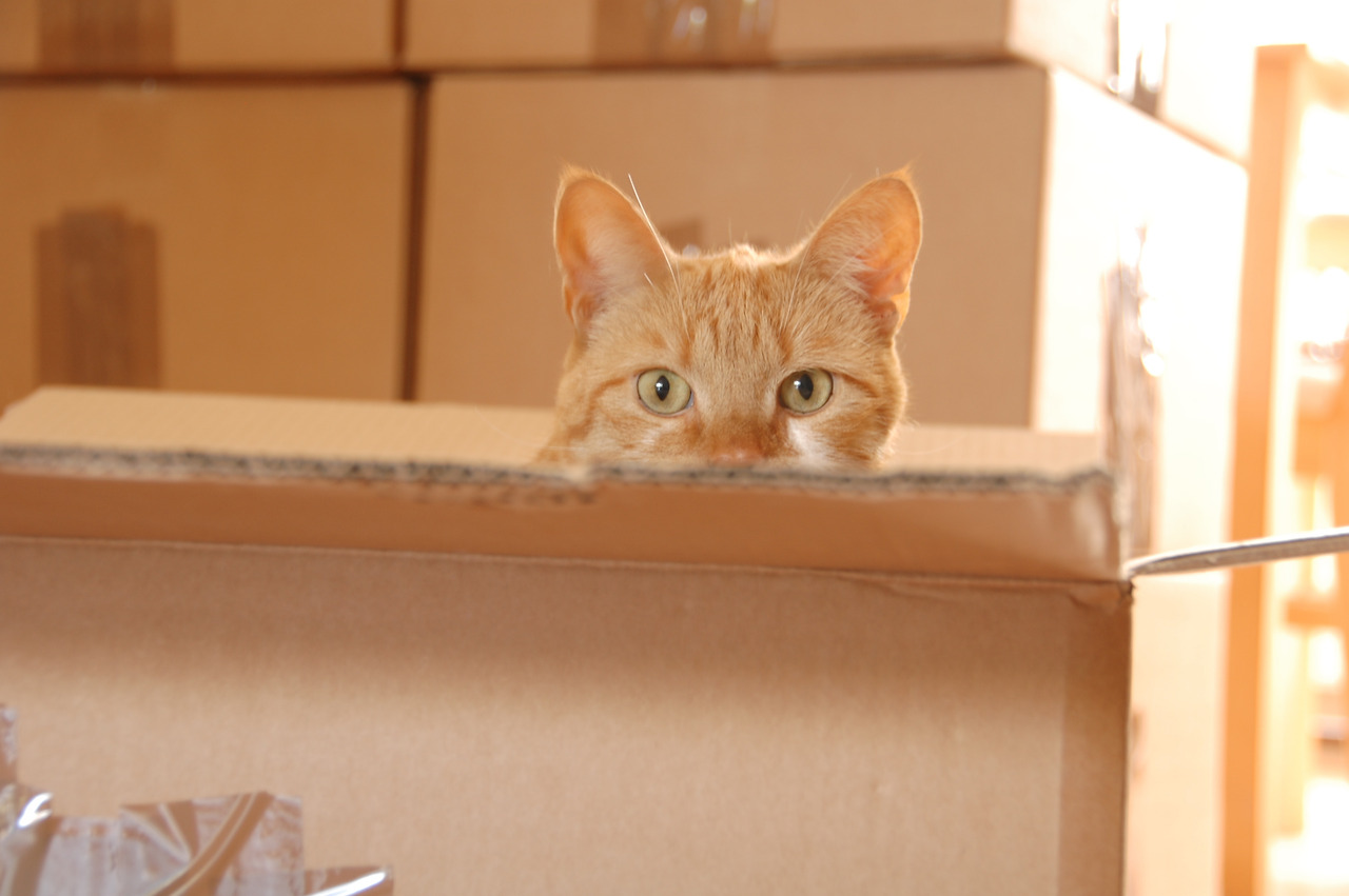 GettyImages-jv11438872 20230705예금보험공사.jpg