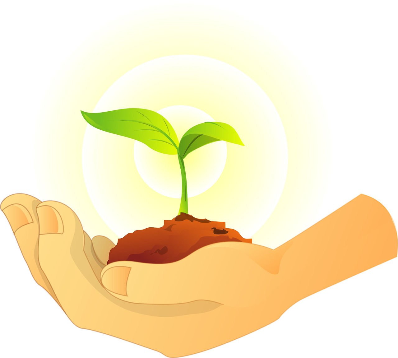 20220512 국유림 GettyImages-a9318797.jpg