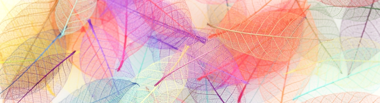 20201129 새터민 1.jpg