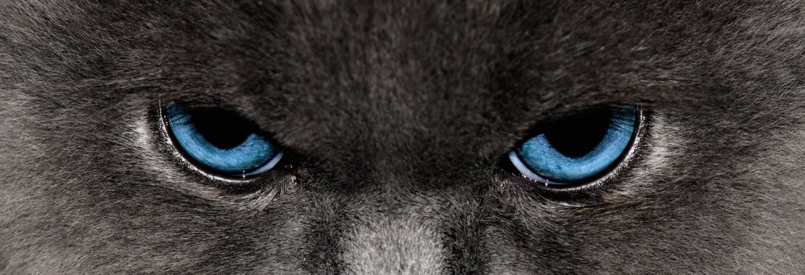 사용자 지정 12.jpg