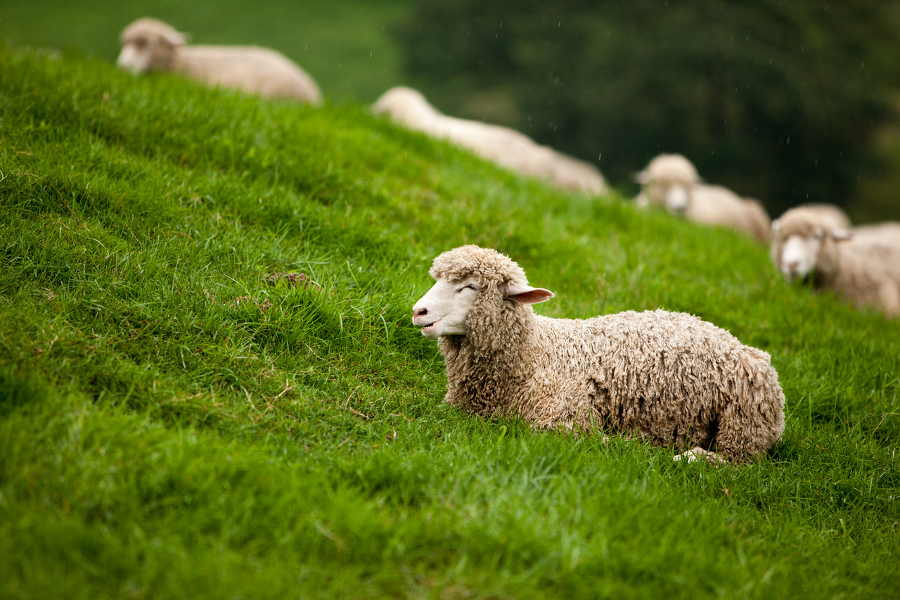 20220512 국유림 GettyImages-jv12529510.jpg