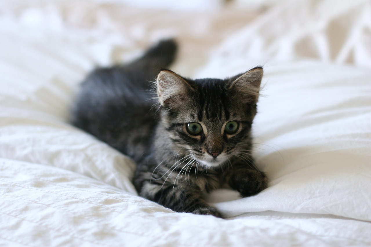 20240116 집값 폭락 망하는 순서 GettyImages-jv11386345.jpg