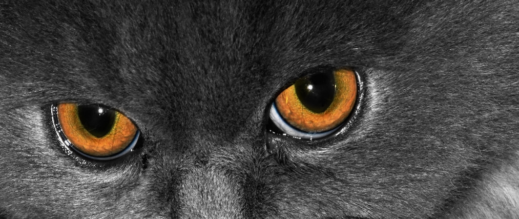 사용자 지정 4.jpg