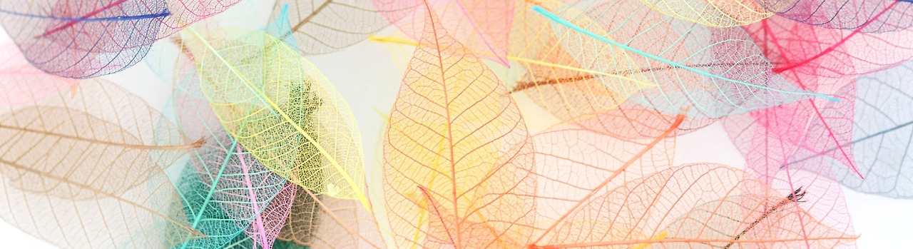 20201129 새터민 2.jpg