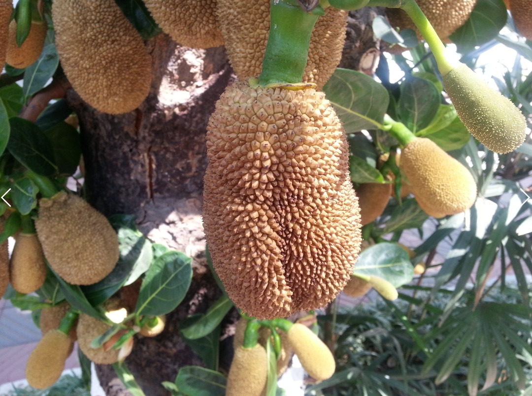 사용자 지정 31.jpg