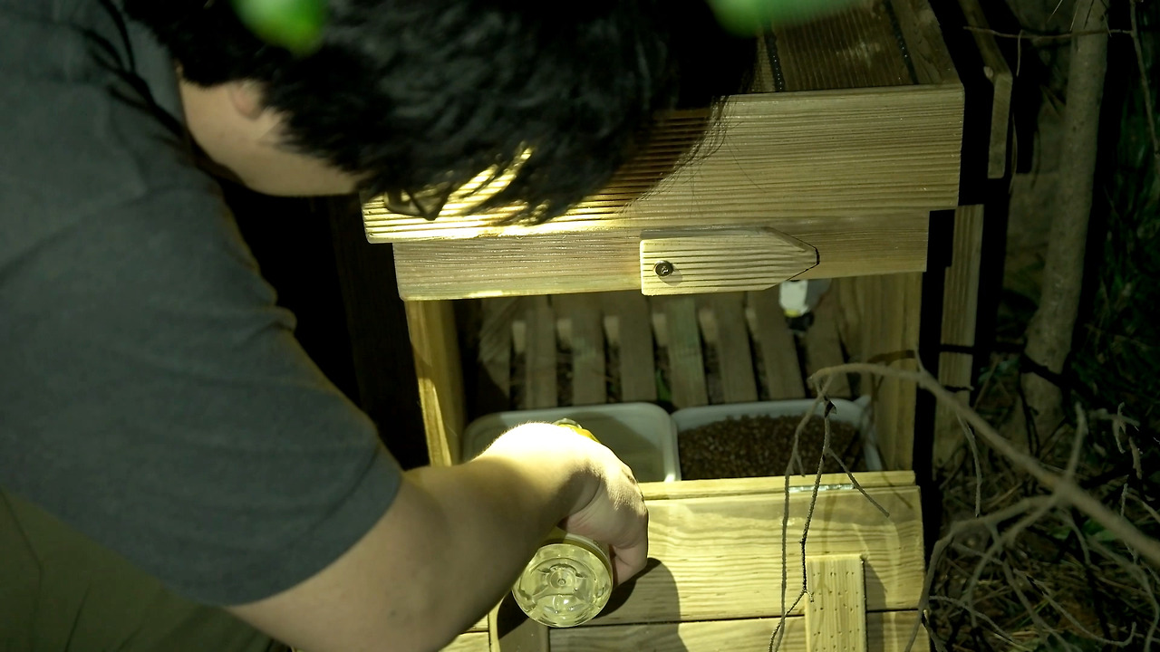 고양이의숲 episode_1 마법의상자.mp4_20180815_070725.658.jpg