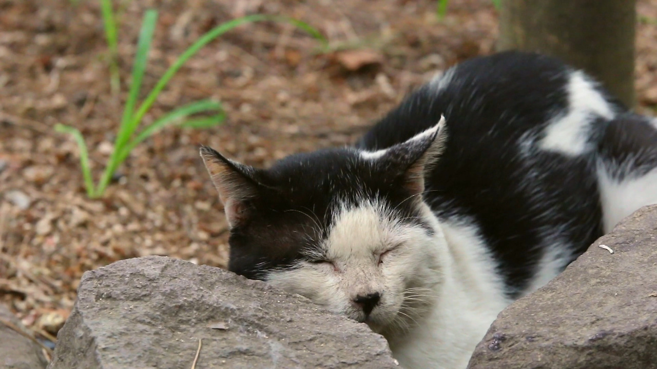 Take a look-타루,진현,차여울밴드.mp4_20170110_035448.423.jpg