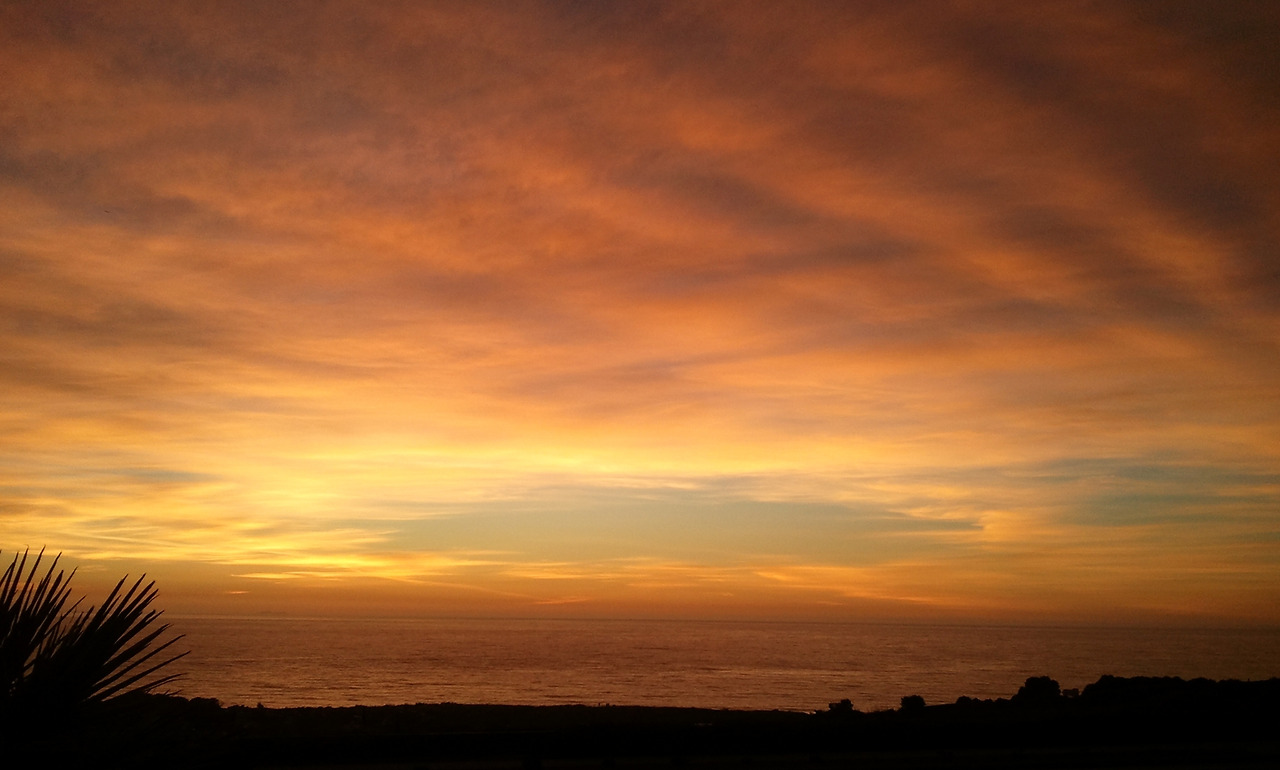 C360_2010-12-11 16-56-27.jpg