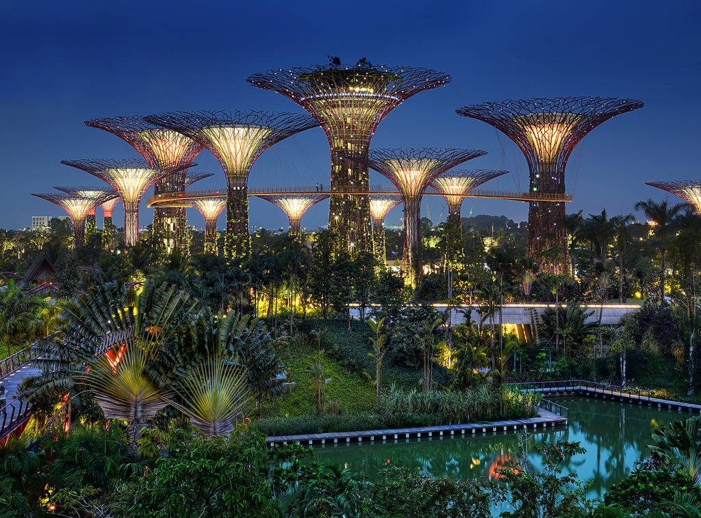supertrees-gardens-by-the-bay.jpg