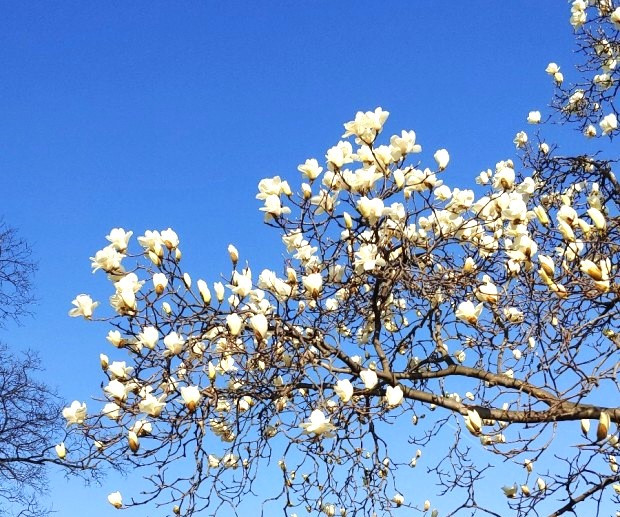 다운로드 (1).jpg