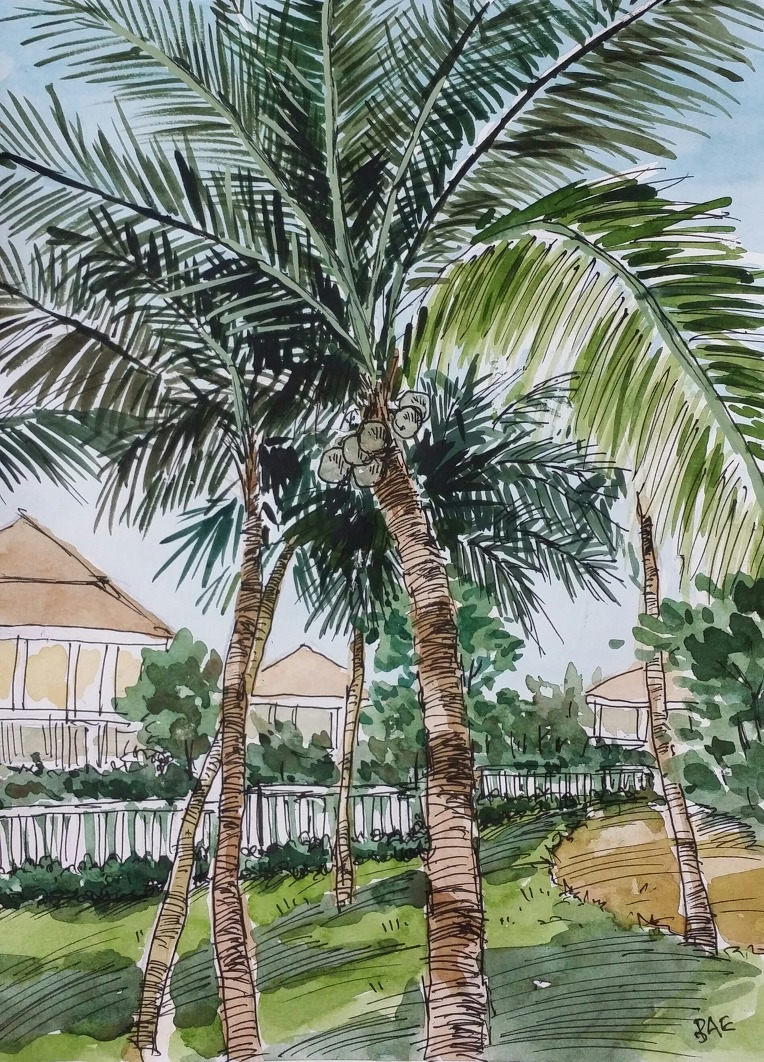 야자수.jpg