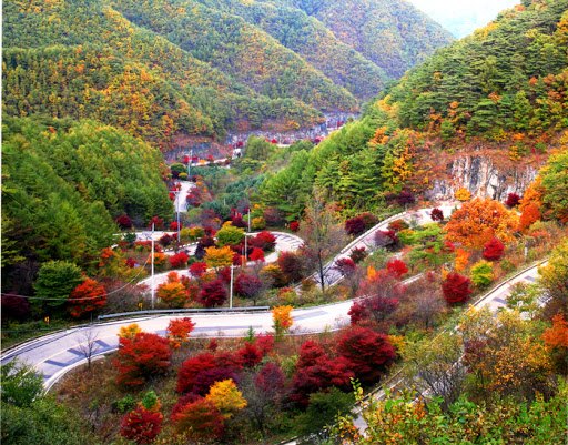 소백 자락길.jpg