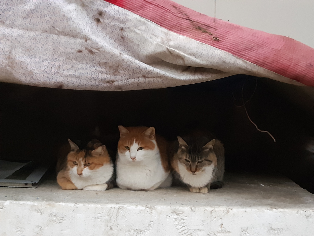 20201205_172543 (1).jpg