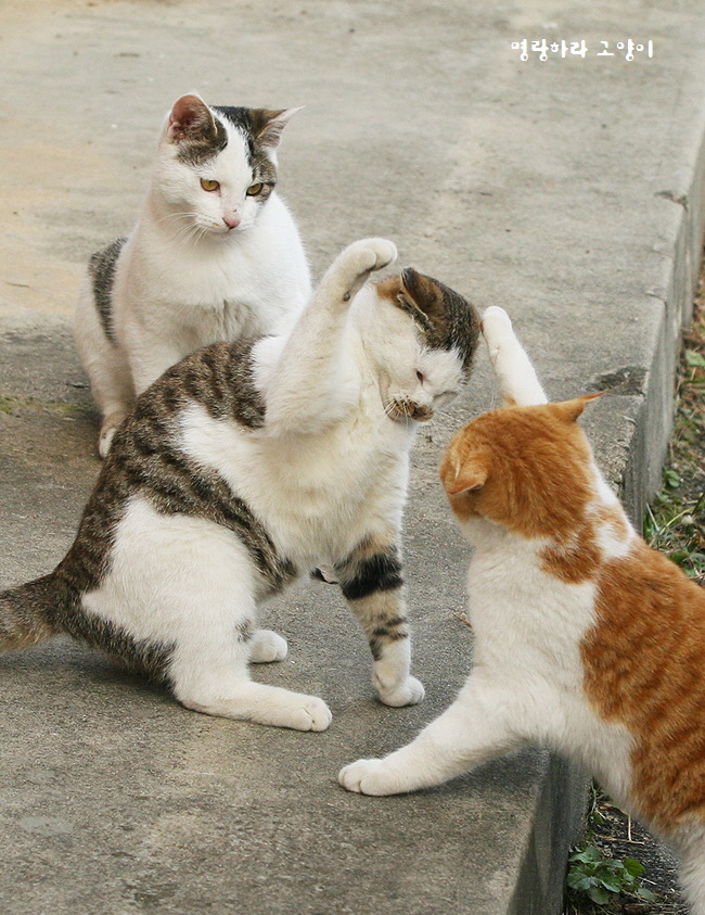 꾸미기_091105 251.jpg