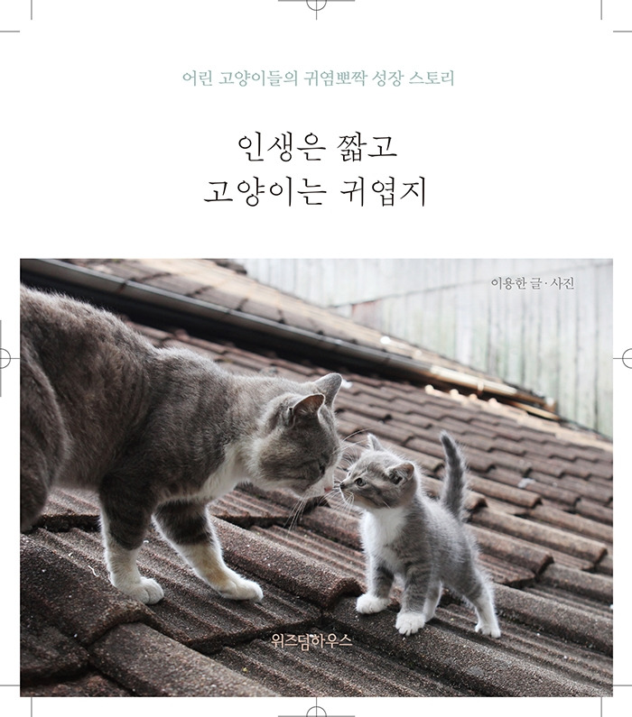 인생은짧고고양이는_앞표지4종-3.jpg