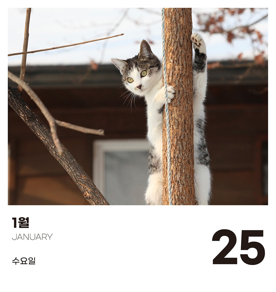 0-1월25.jpg