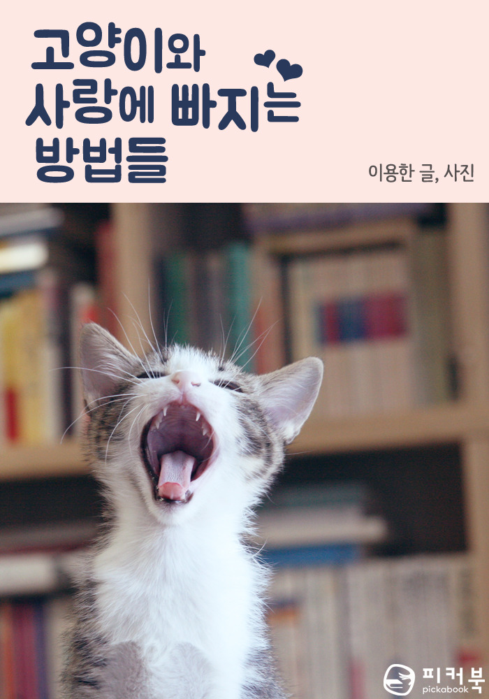 고양이-표지.jpg