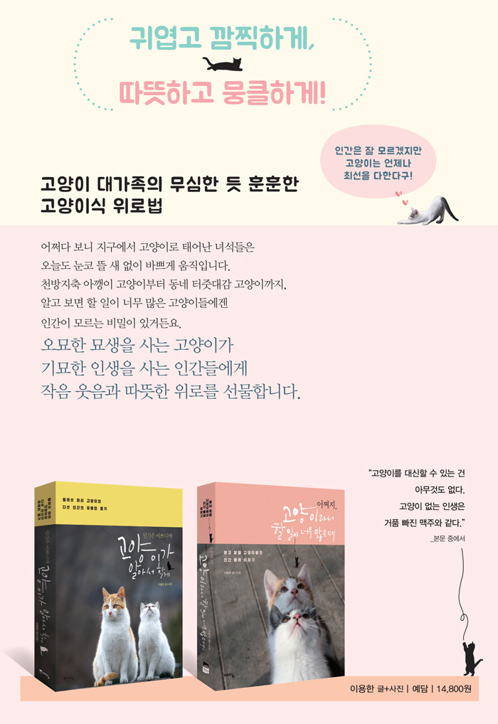 매거진 펫즈_고양이광고(신국판)-2.jpg