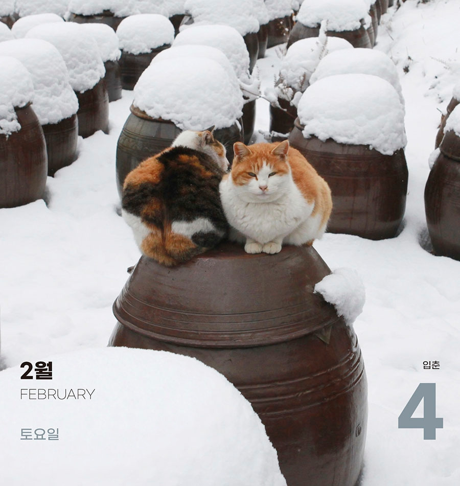 0-2월4.jpg