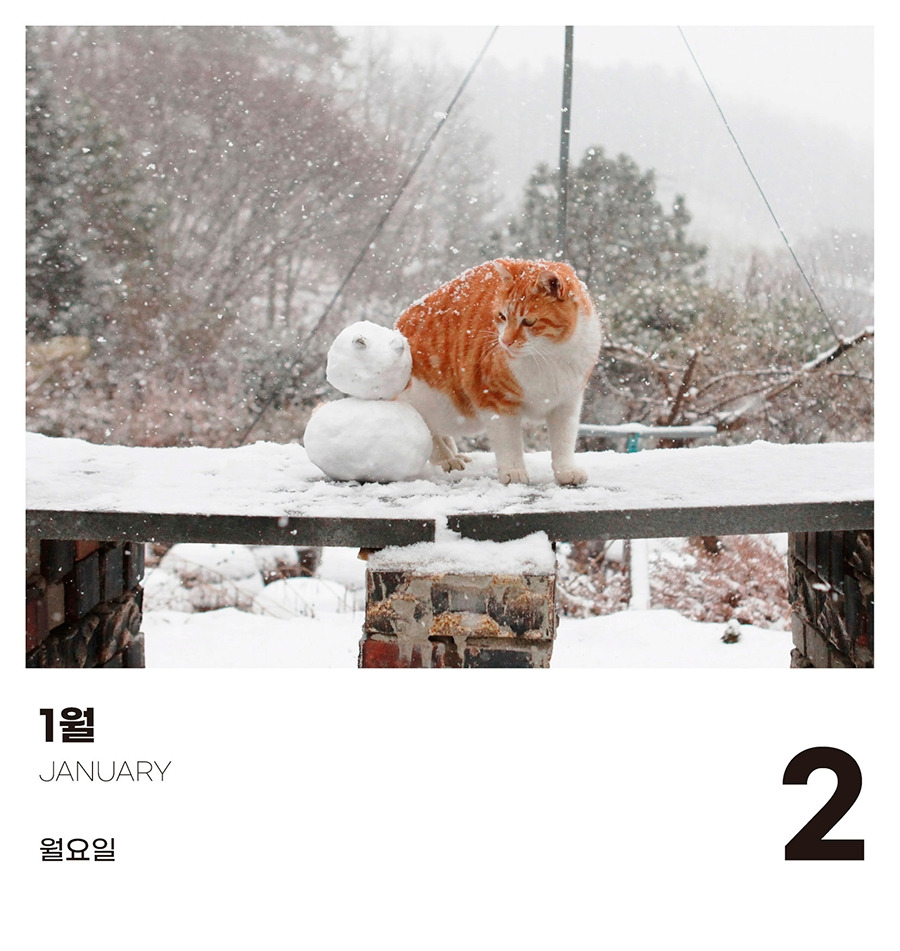 1-1월2.jpg