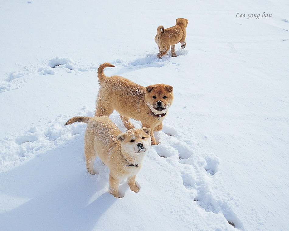 꾸미기_19 (11).jpg