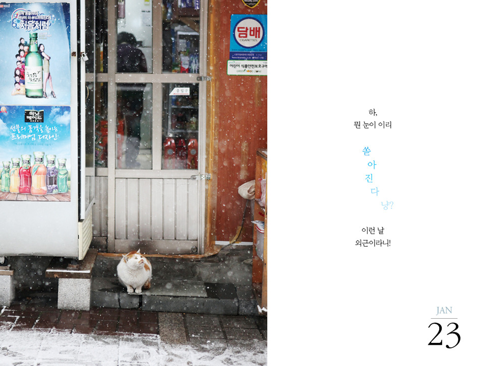 사본 -고양이일력55.jpg