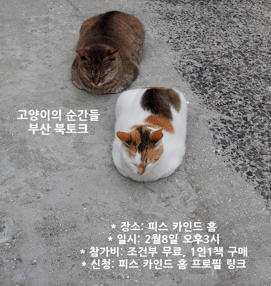 바카라사이트 추천