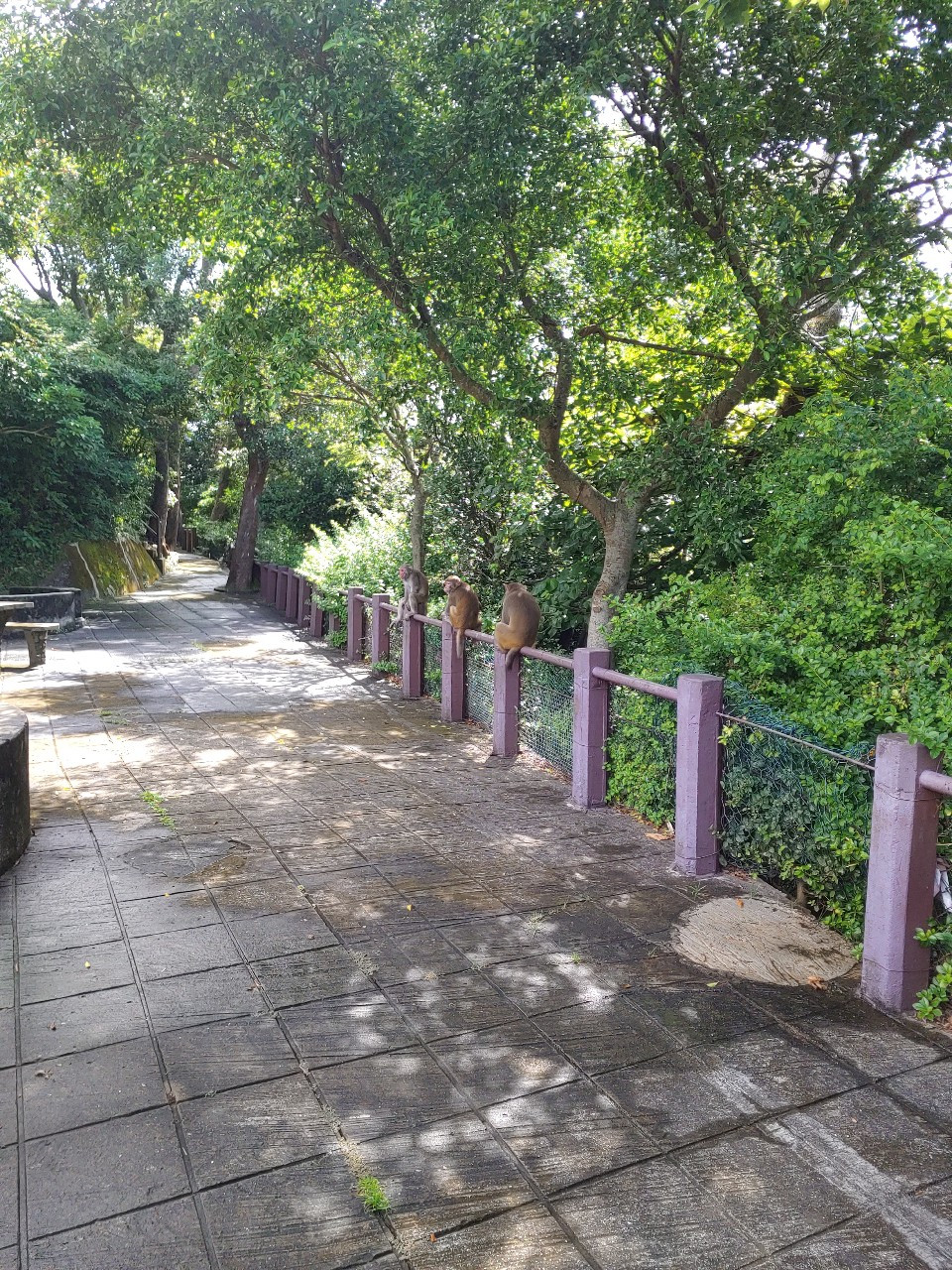 KakaoTalk_20210906_122137605_02 (1).jpg