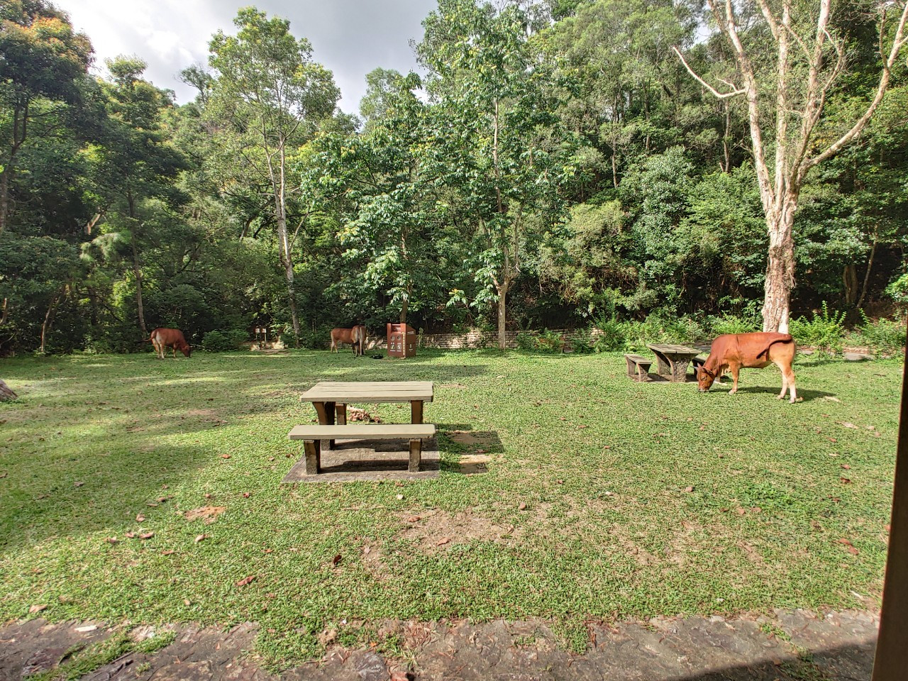 KakaoTalk_20210906_122137605_03 (1).jpg