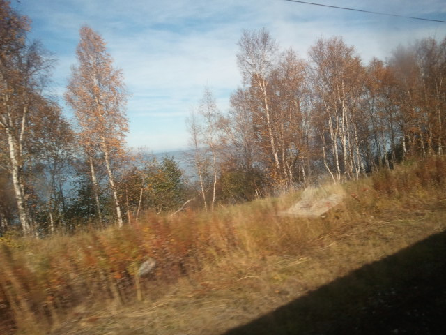 2012-09-28 13.44.06.jpg