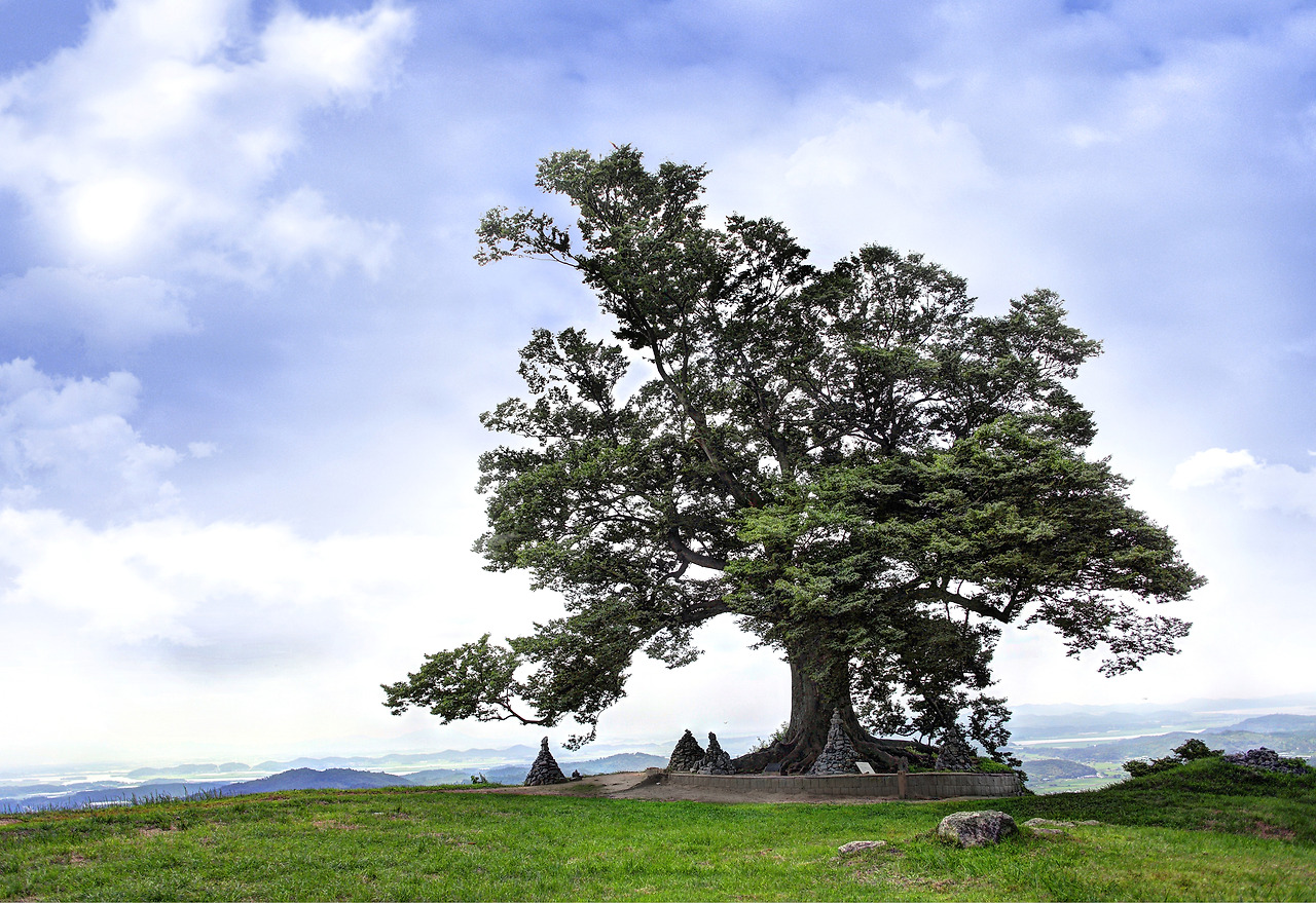 80cm-55cm= 3매 ⓒ Buyeo-gun.jpg