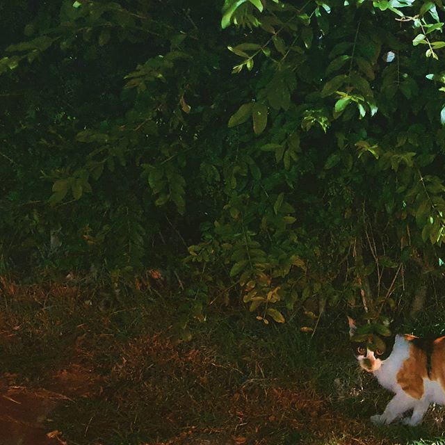 I0WfBgCz3yVPEuqmZ9gJ5v43iEk (1).jpg