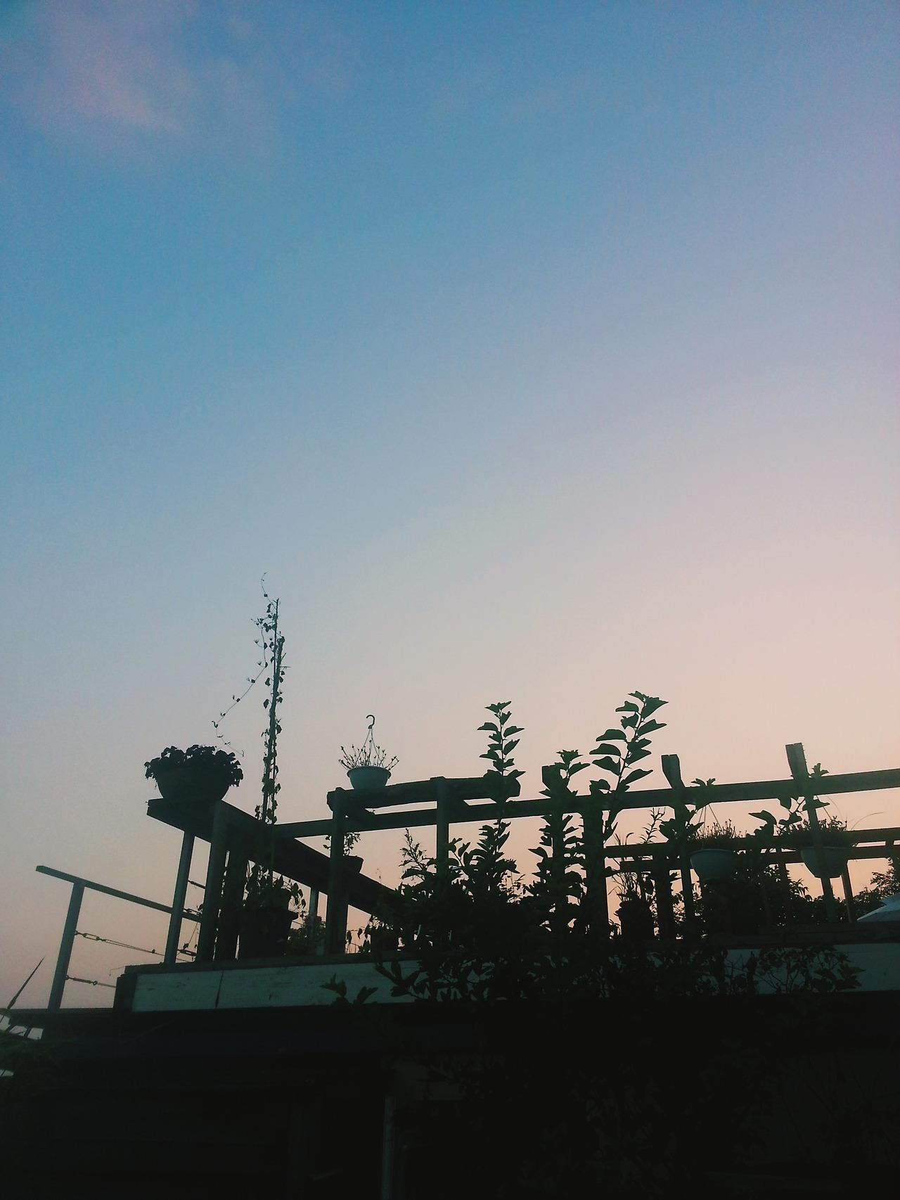 2017-08-05 11.55.08 1.jpg