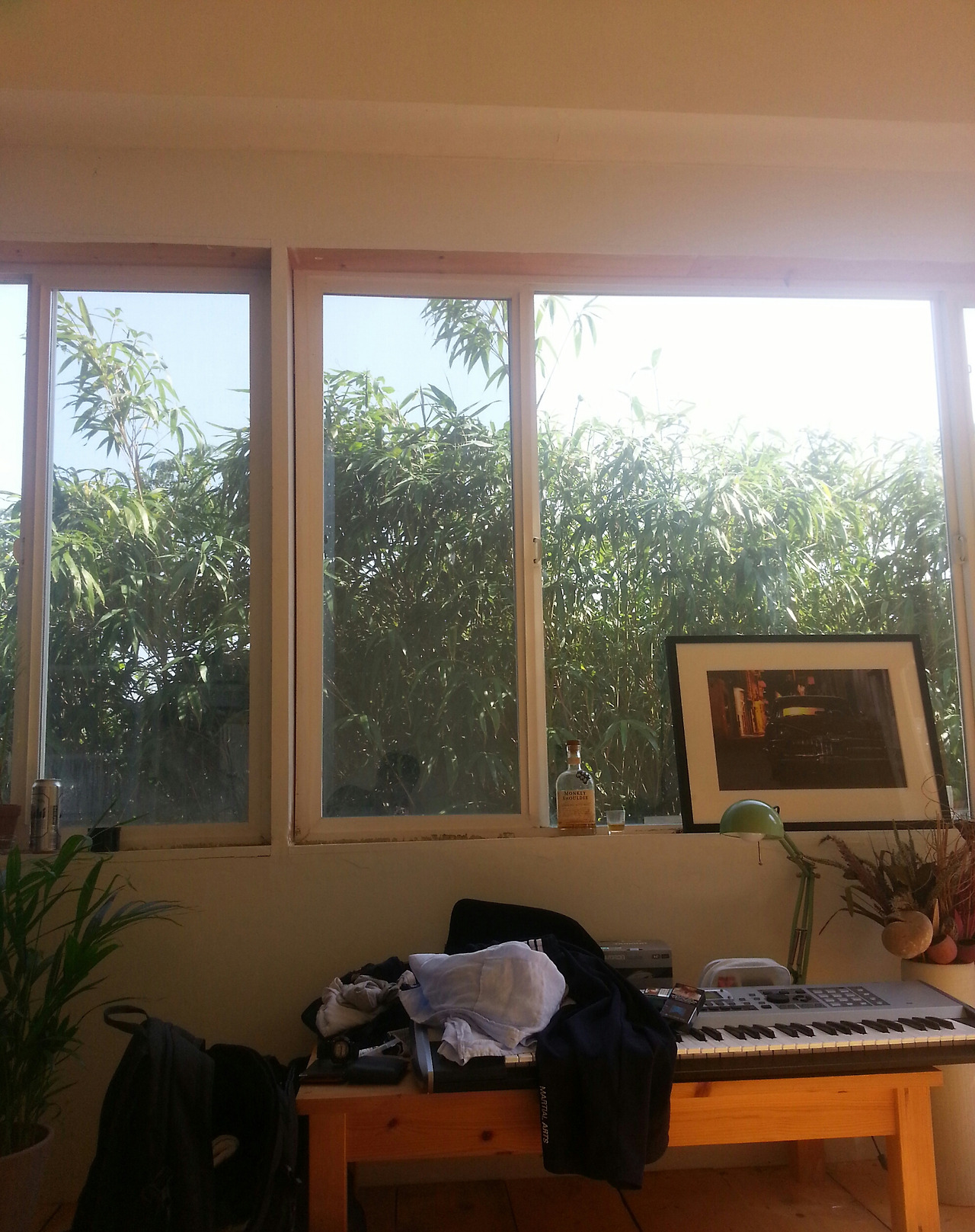 2017-08-04 03.38.44 1.jpg