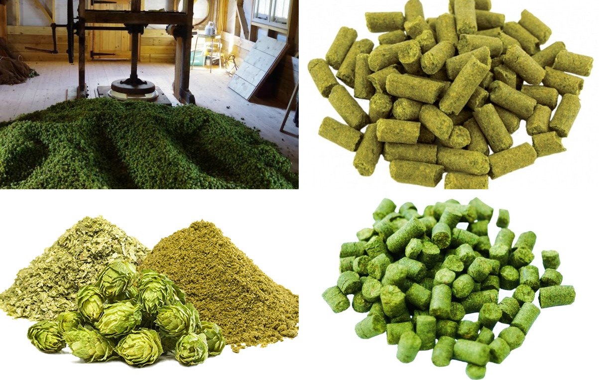 dried-hops-cooling-on-the-floor-600x380-tile.jpg