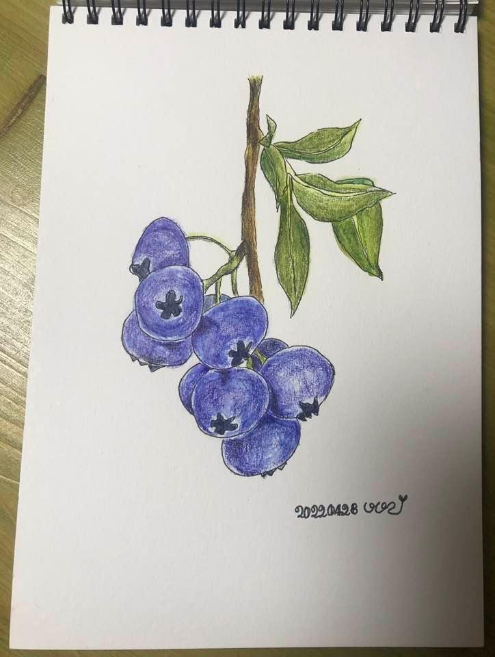 89_블루베리.jpg