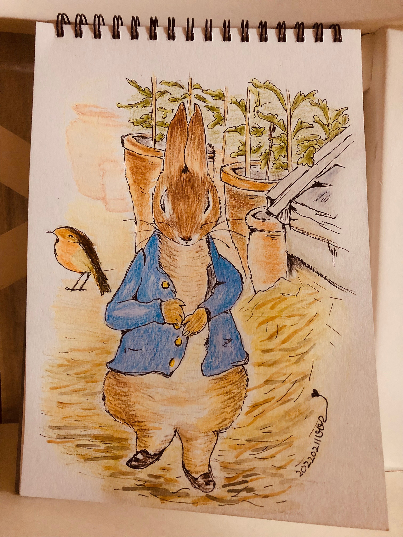 14일째 피터래빗.jpg