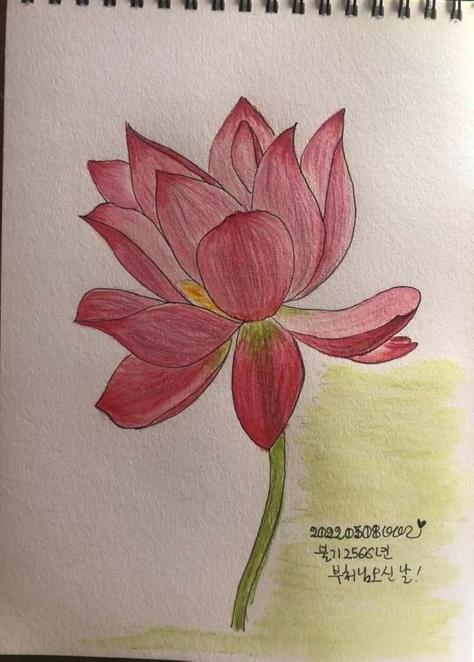 99_연꽃.jpg