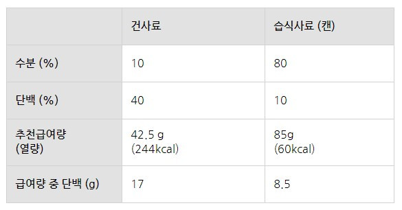 단백 관련 고양이 급여량 예시.jpg