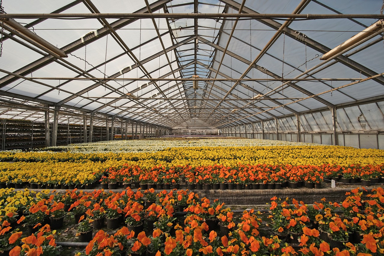 greenhouse-4948726_1280.jpg