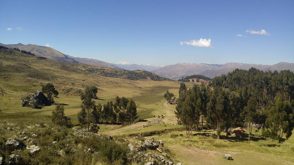 뒷동산 풍경 2.jpg