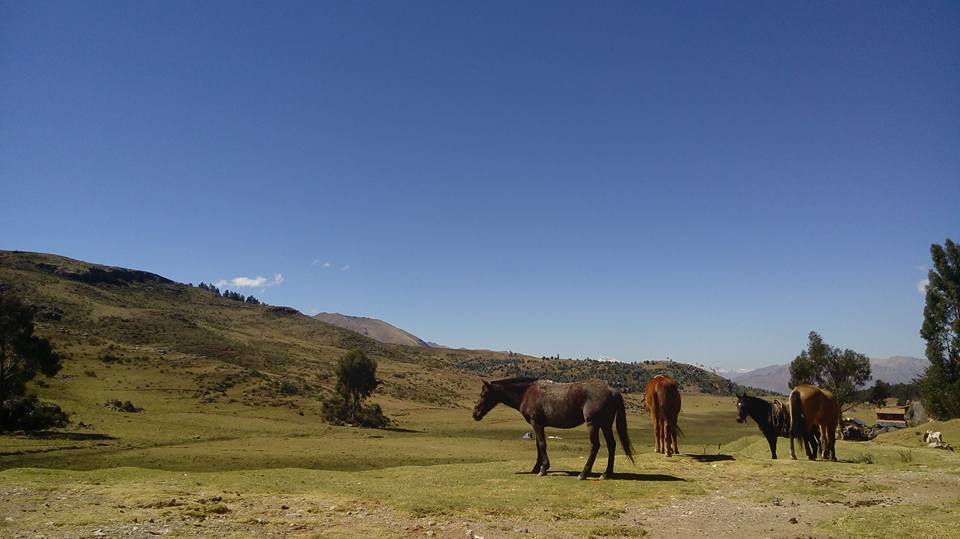 뒷동산 풍경 1.jpg