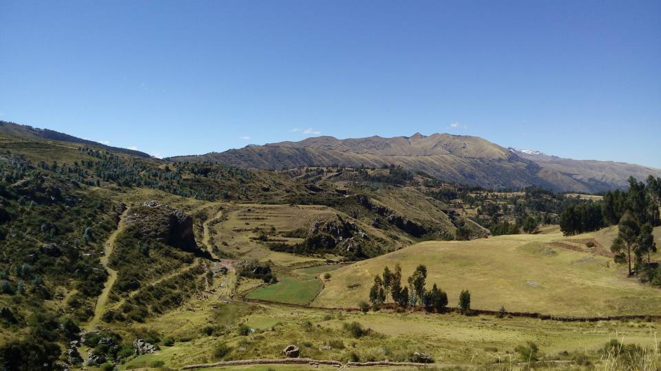 뒷동산 풍경 3.jpg